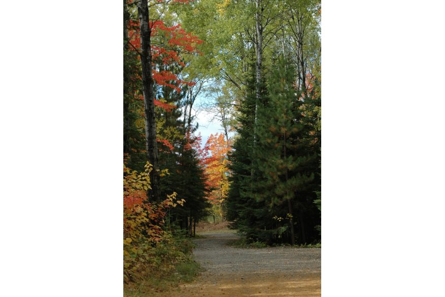 Fall road