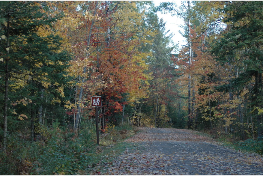 Scenic drive in Fall