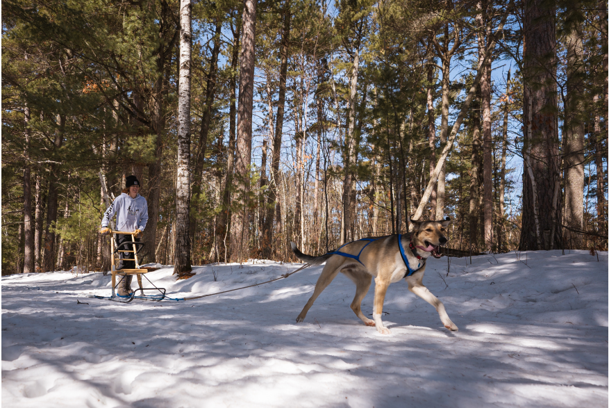 Kicksledding
