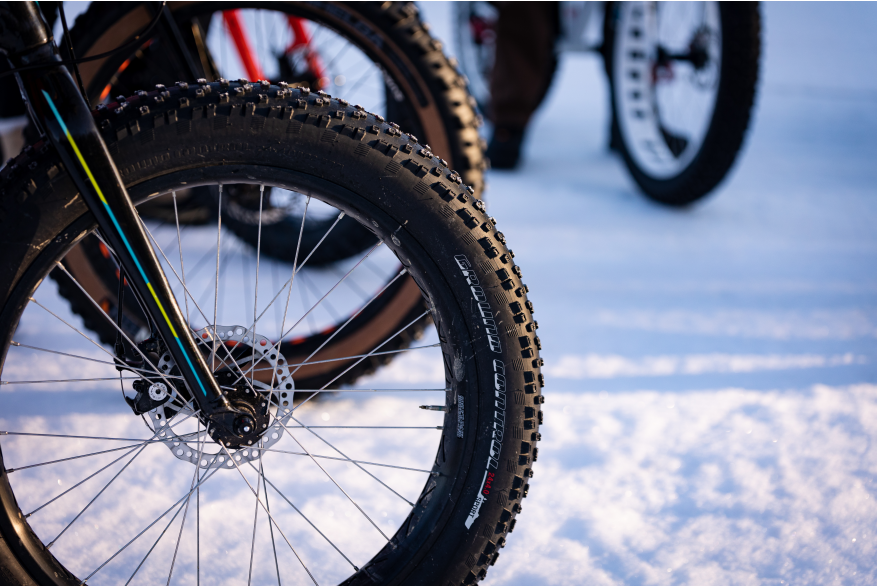 Fat Tire Biking