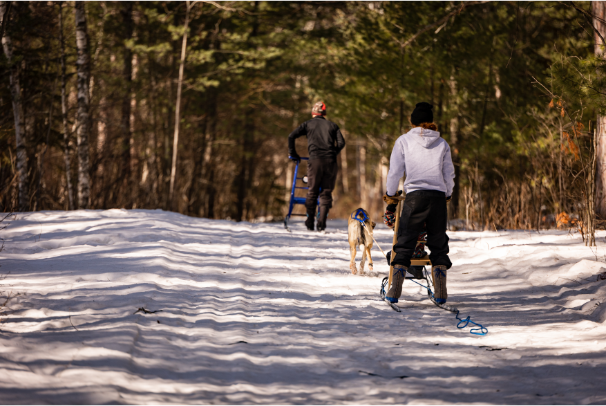 Kicksledding