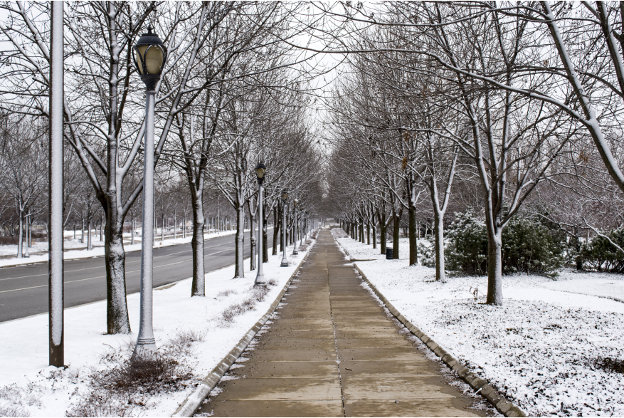 Headwaters Park in Winter
