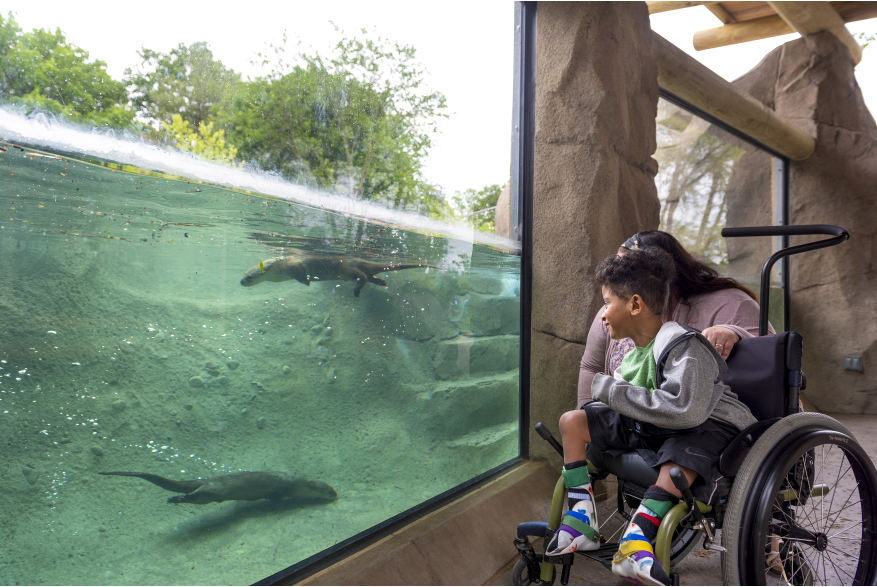 The Fort Wayne Children's Zoo is an Accessible Attraction