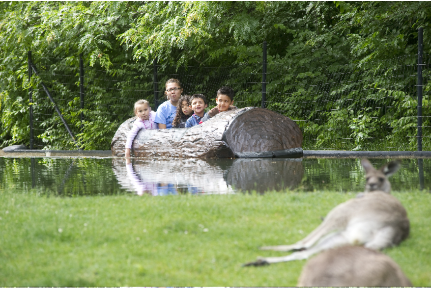 Fort Wayne Children's Zoo Log Ride