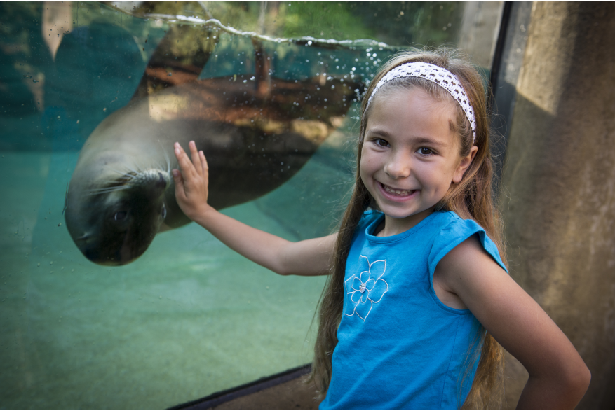 Girl with Sea Lion