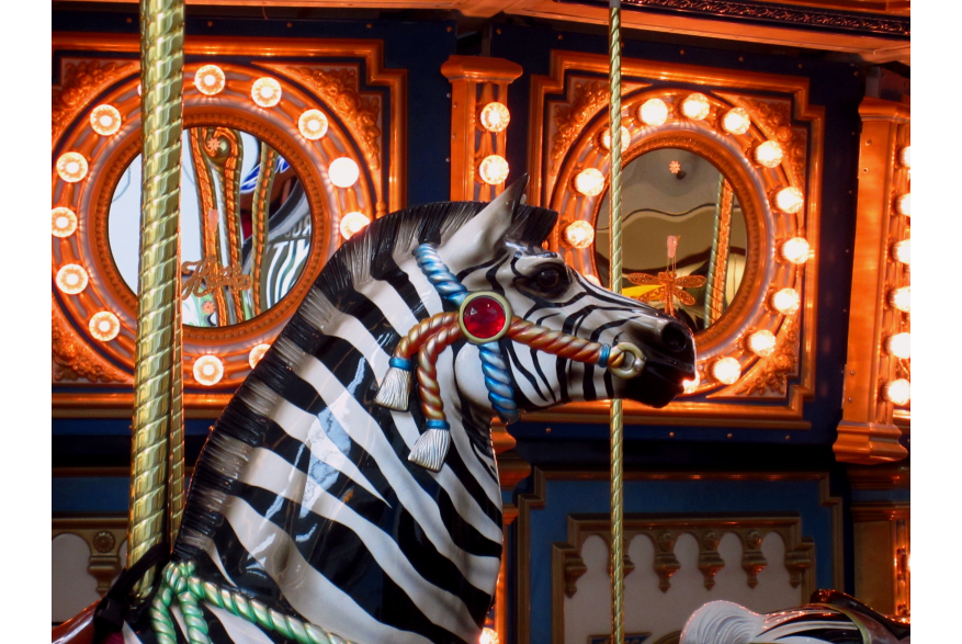 Zebra at the Fort Wayne Children's Zoo Carousel