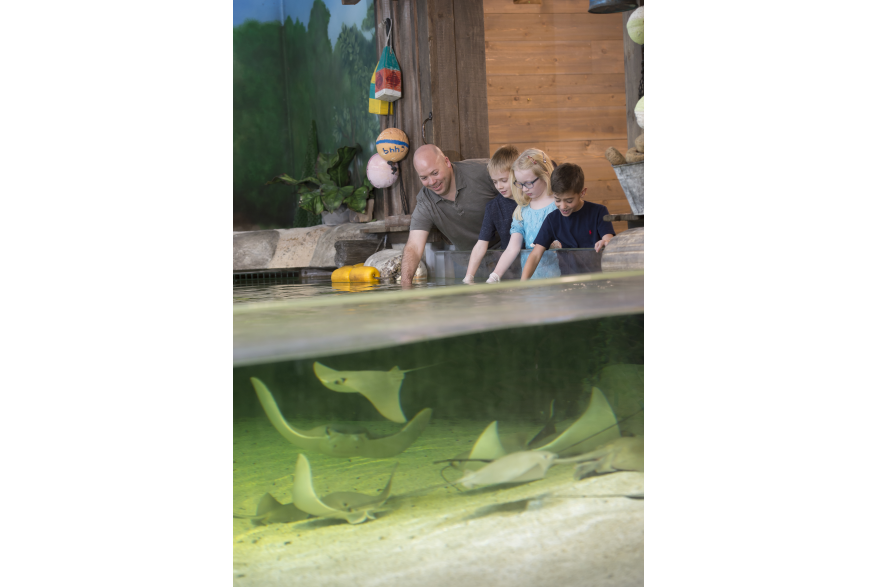 Fort Wayne Children's Zoo: Stingray Bay at the Australian Adventure