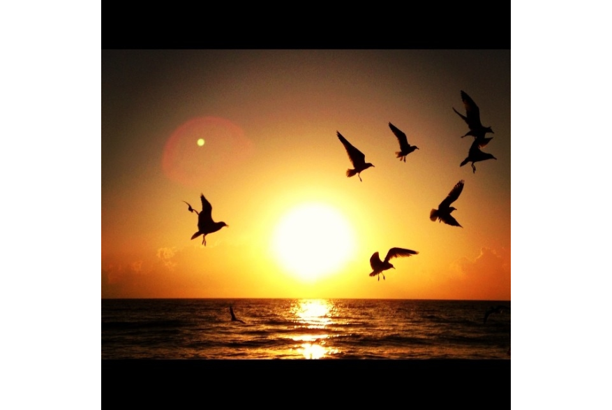 Instagram photo liked on 01/14/14