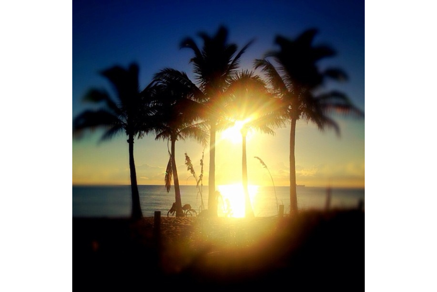 Instagram photo liked on 10/07/13