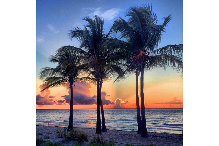 Instagram photo liked on 06/22/15