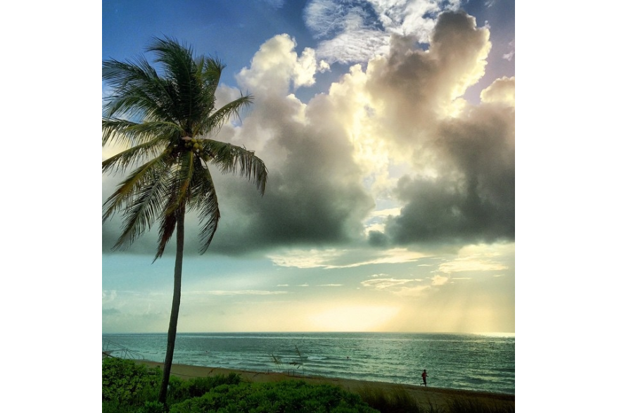 Instagram photo liked on 06/26/15