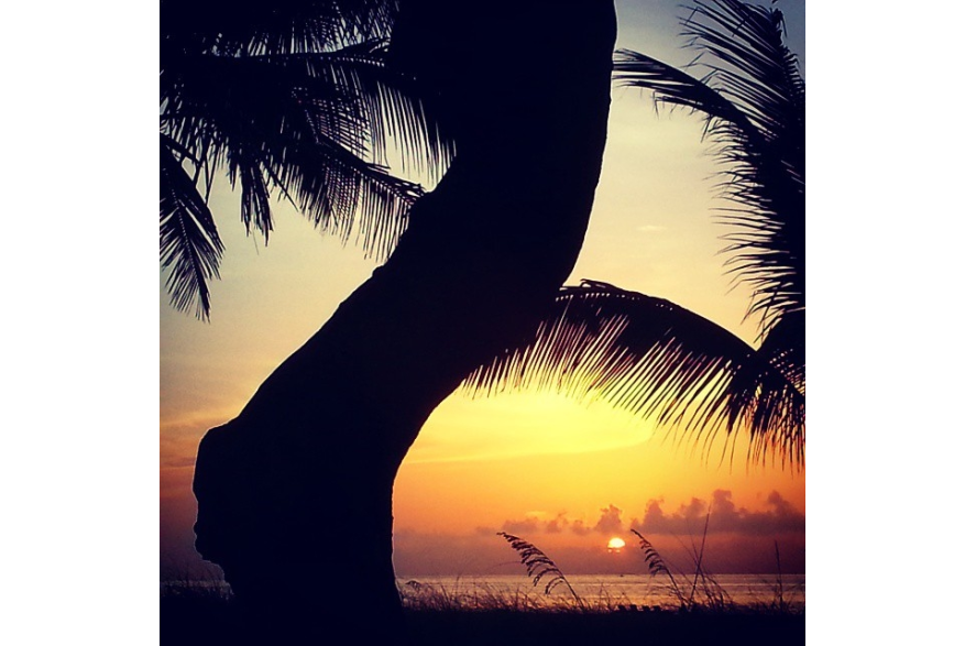 Instagram photo liked on 06/27/15