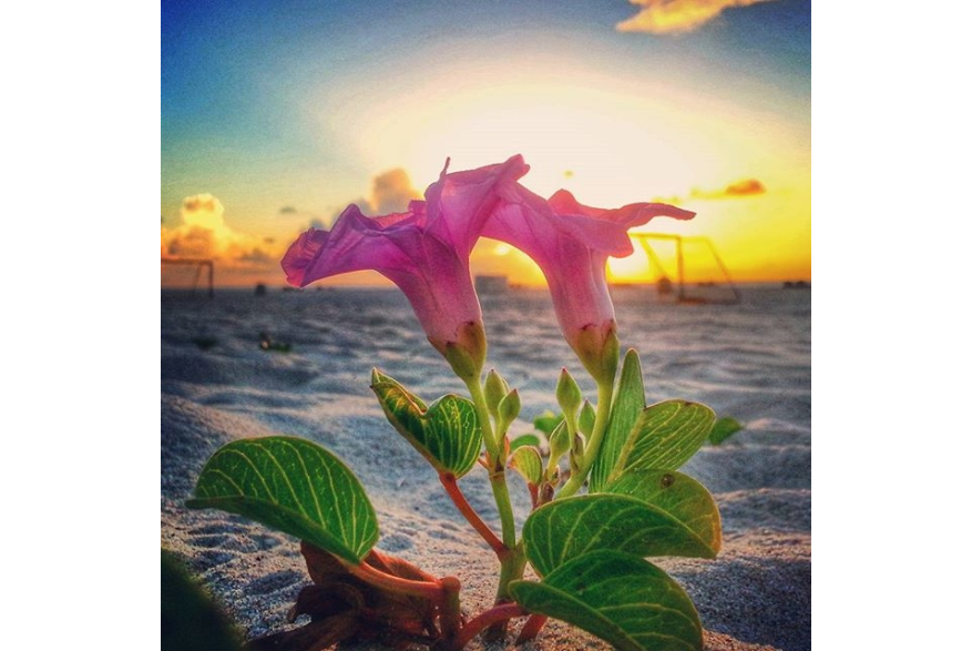 Instagram photo liked on 07/10/15