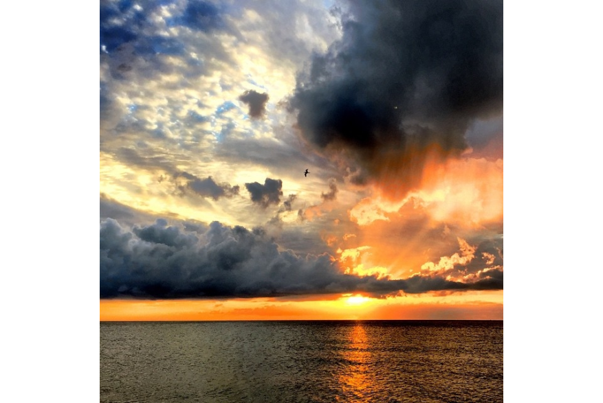 Instagram photo liked on 07/25/15