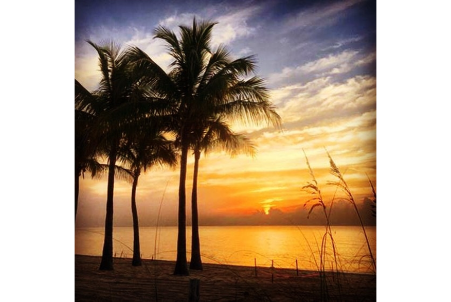 Instagram photo posted on 07/28/15