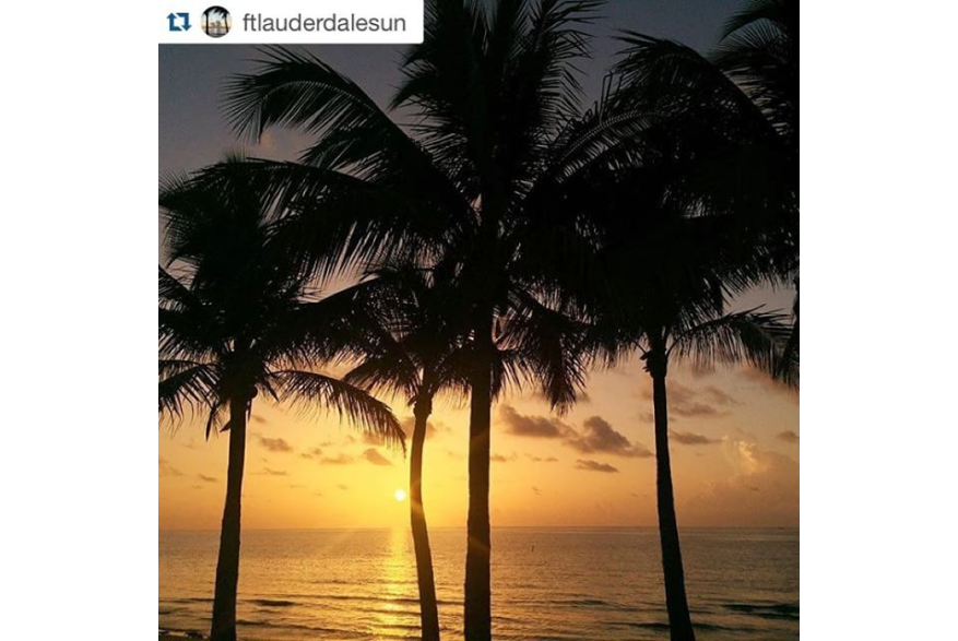 Instagram photo posted on 08/04/15