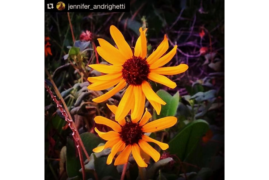Instagram photo posted on 08/06/15