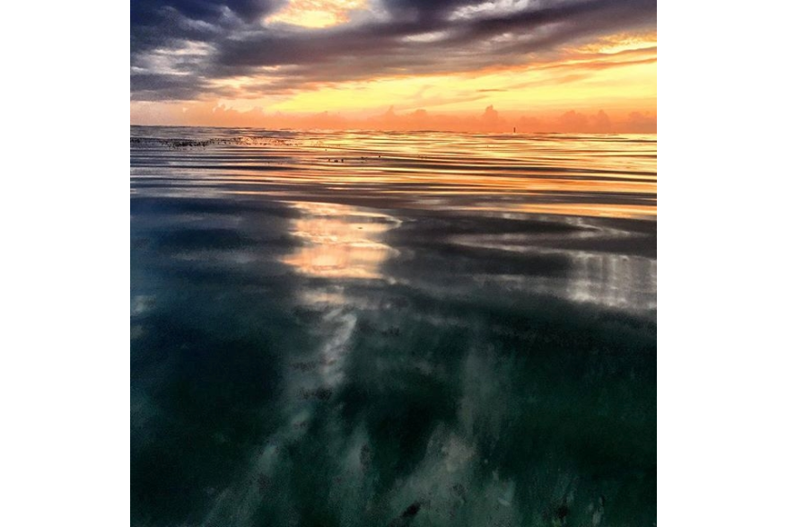 Instagram photo liked on 08/08/15