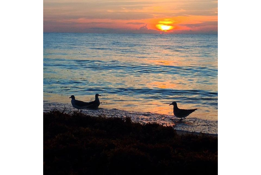 Instagram photo liked on 08/25/15