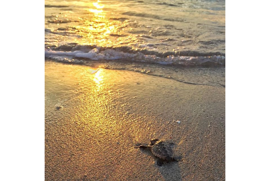 Instagram photo liked on 09/05/15