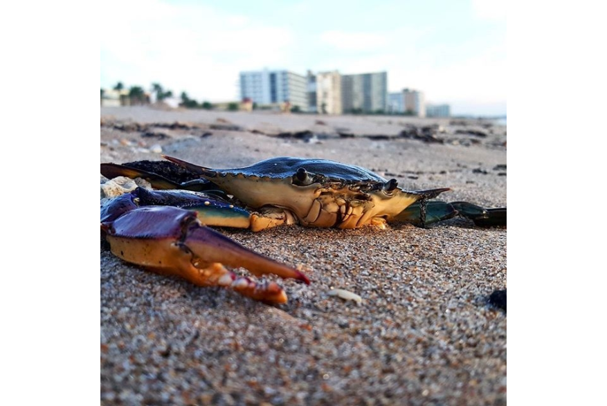 Instagram photo liked on 09/13/15
