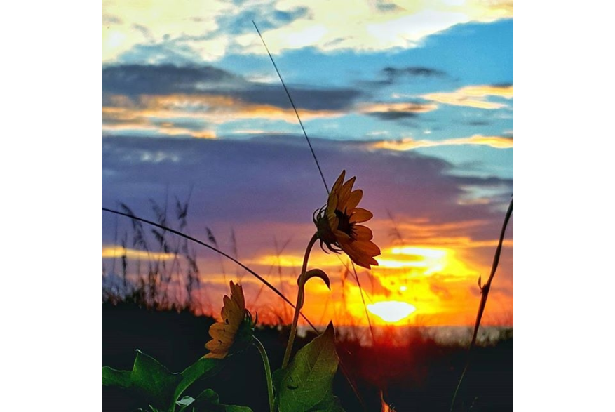 Instagram photo liked on 09/23/15
