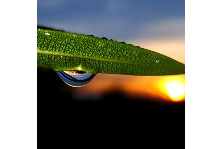 Instagram photo liked on 09/30/15