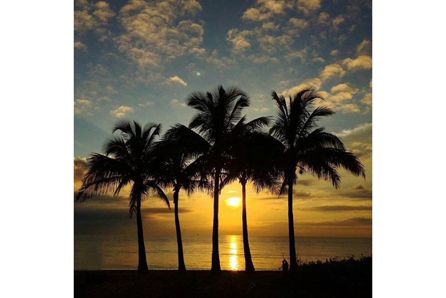 Instagram photo liked on 10/14/15