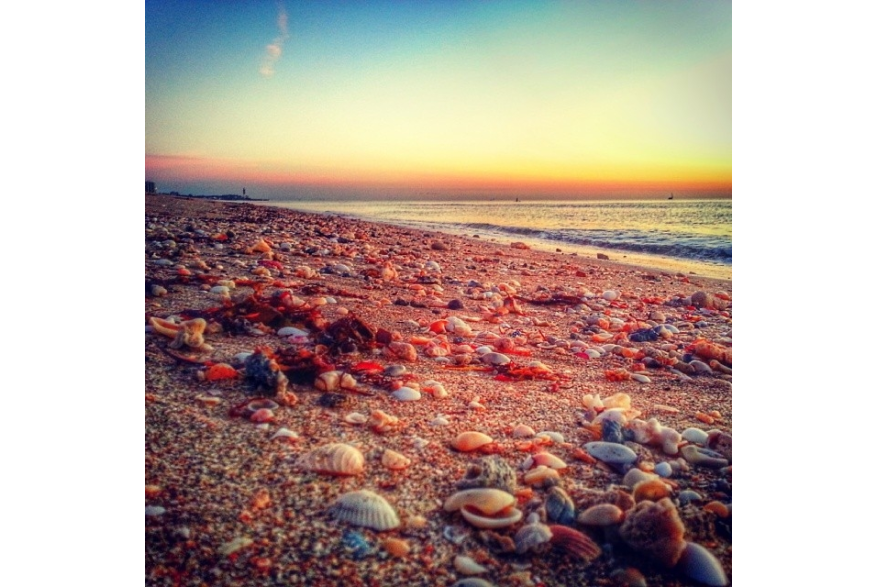 Instagram photo liked on 03/04/14