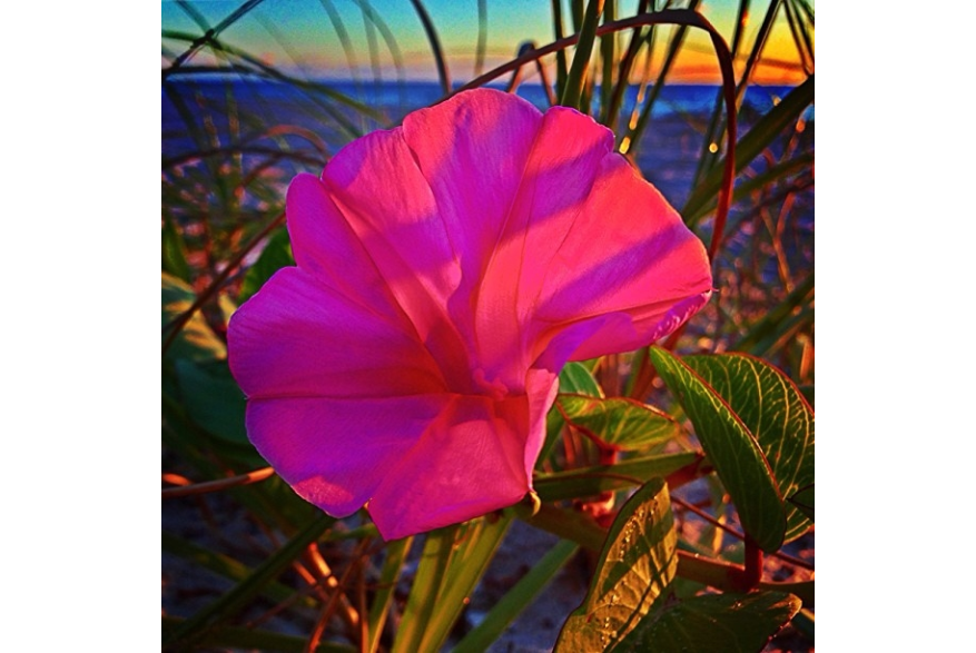 Instagram photo liked on 10/01/13