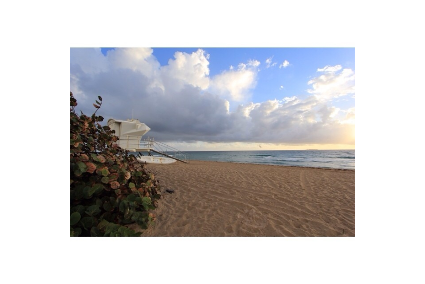 Instagram photo liked on 02/04/14