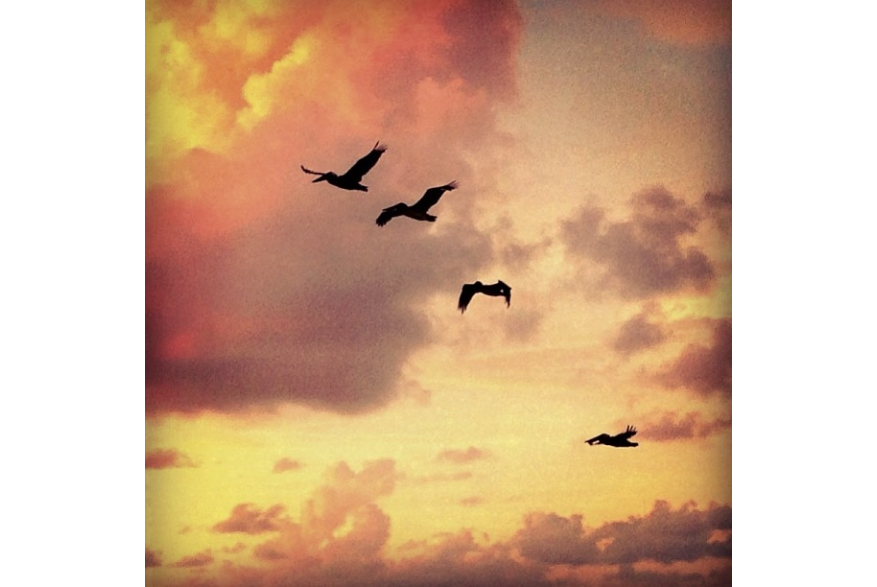 Instagram photo liked on 09/06/13