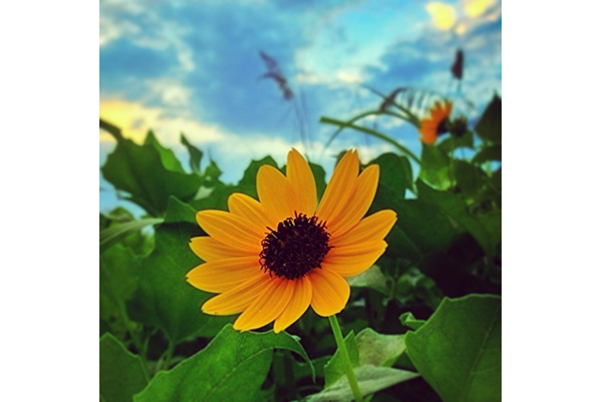 Instagram photo liked on 09/24/13