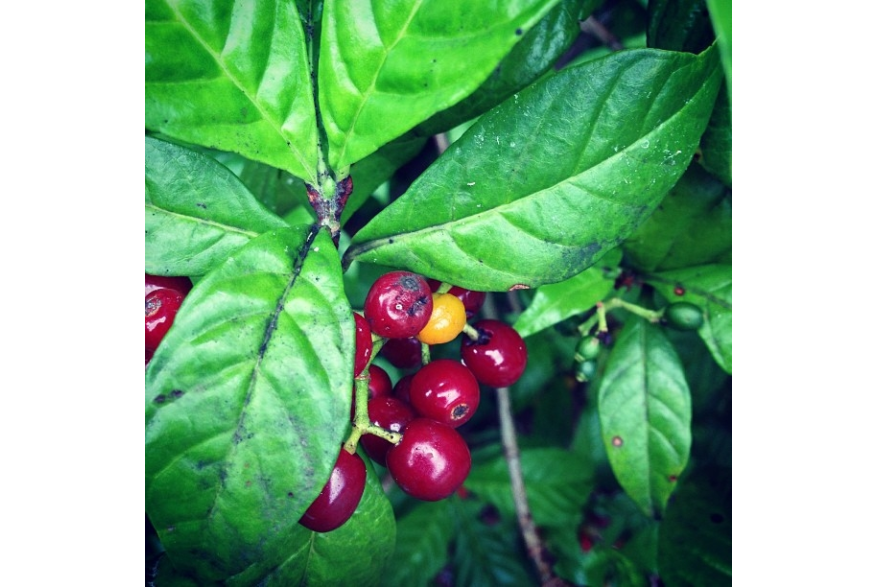 Instagram photo liked on 08/08/13