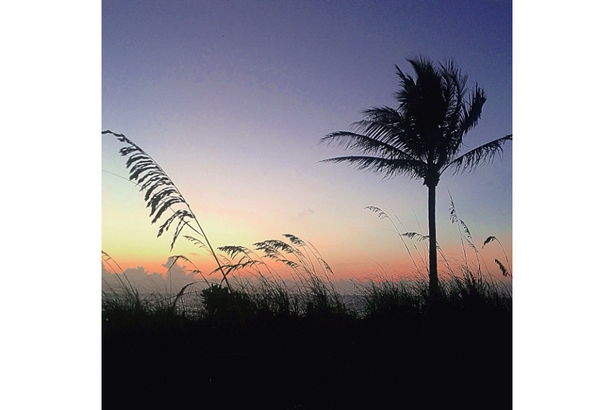 Instagram photo liked on 07/11/13