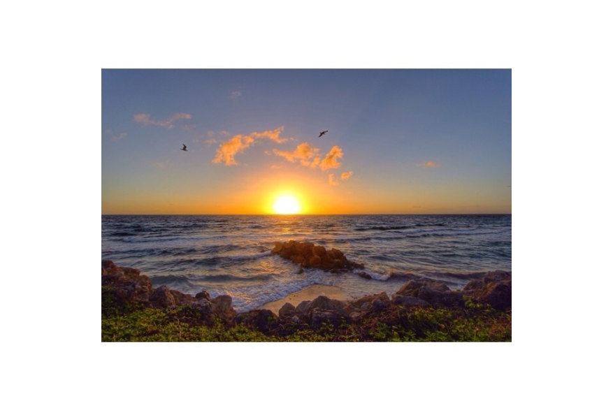Instagram photo liked on 02/02/14