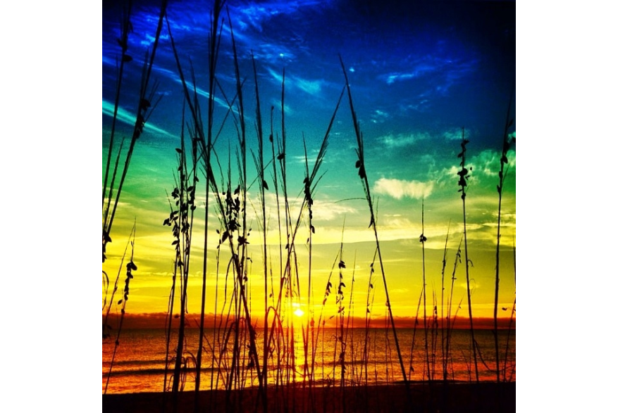 Instagram photo liked on 01/17/14
