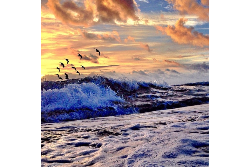 Instagram photo liked on 11/11/13