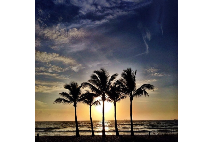 Instagram photo liked on 03/17/14