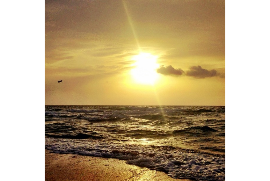 Instagram photo liked on 07/01/13