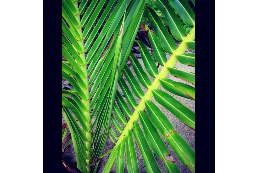 Instagram photo liked on 12/17/13