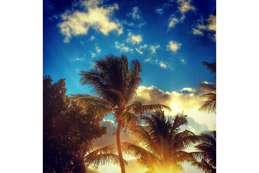 Instagram photo liked on 02/20/14