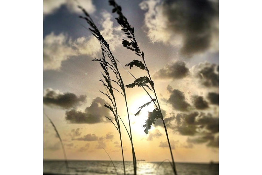 Instagram photo liked on 06/22/13