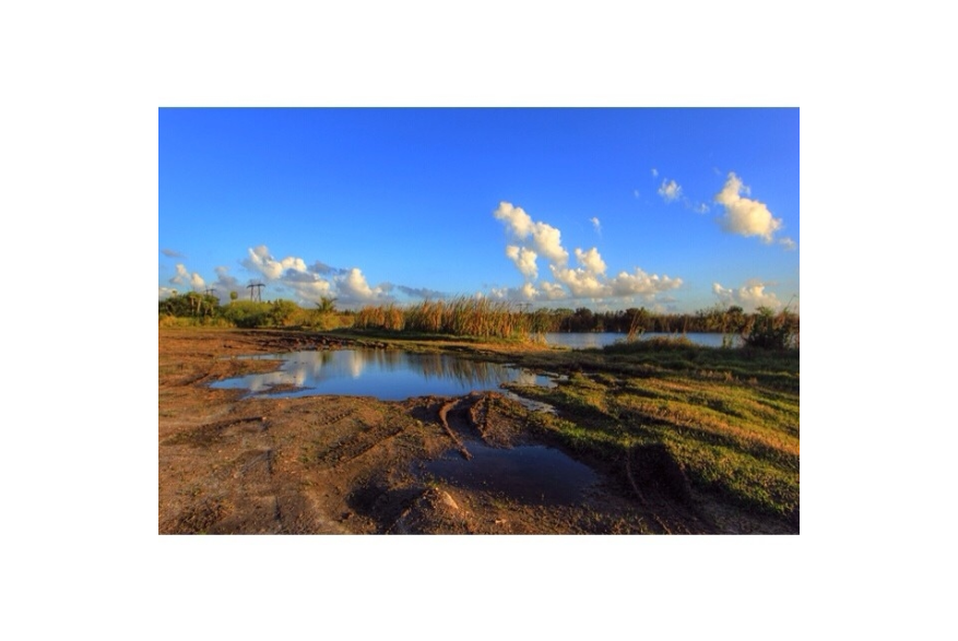 Instagram photo liked on 02/05/14