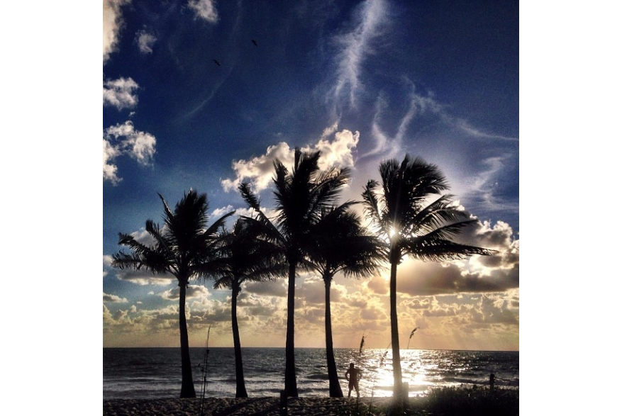 Instagram photo liked on 10/30/13