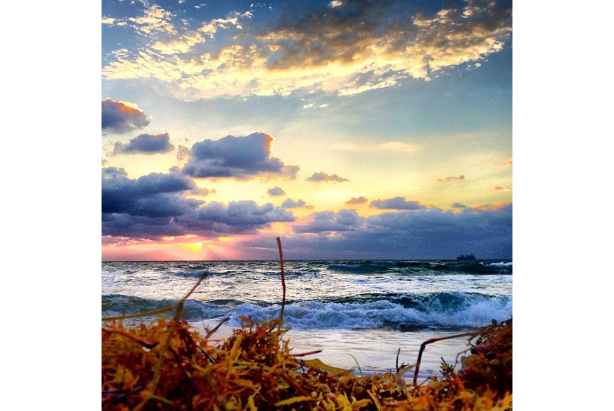 Instagram photo liked on 03/27/14