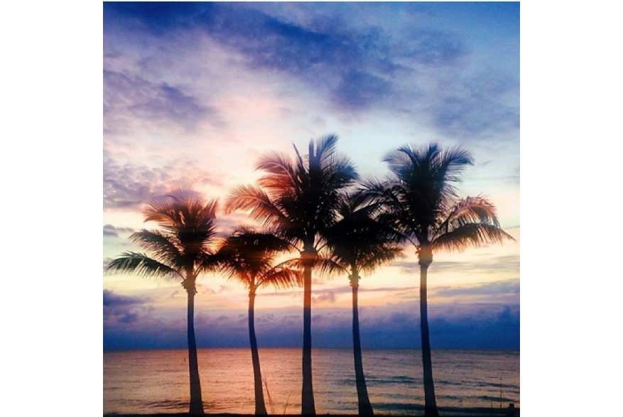Instagram photo posted on 02/27/14