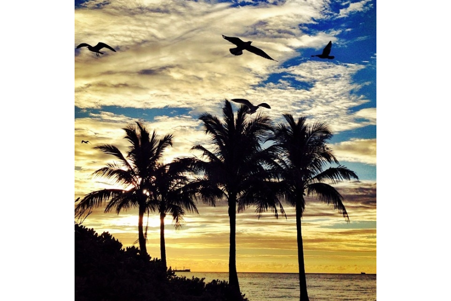 Instagram photo liked on 01/21/14
