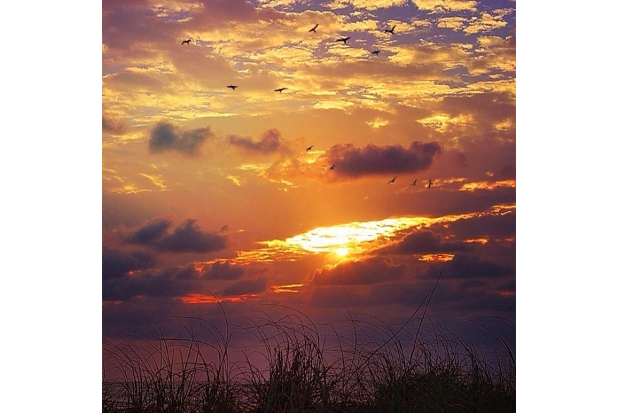 Instagram photo liked on 01/10/14