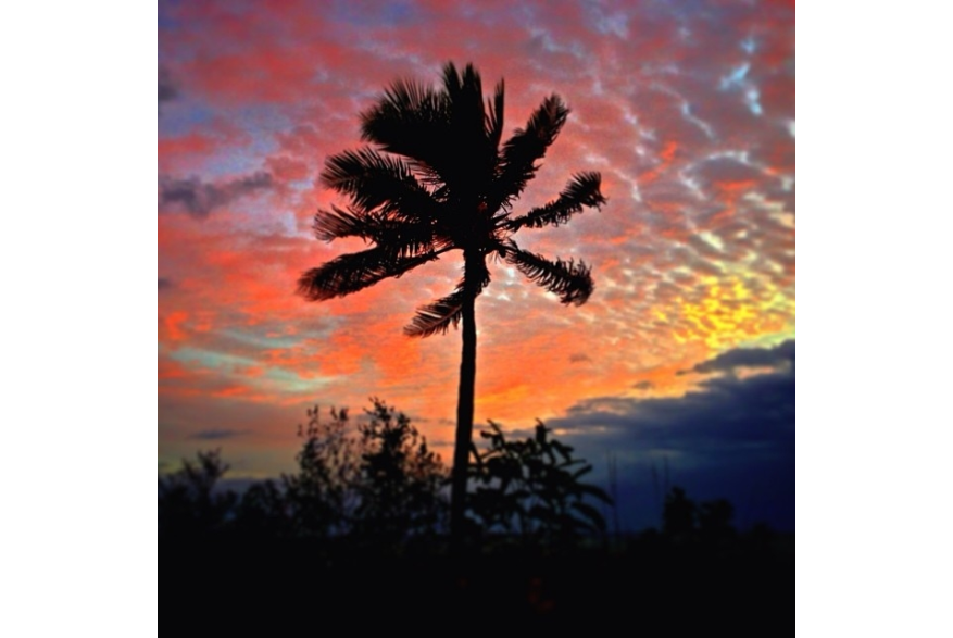 Instagram photo liked on 11/15/13